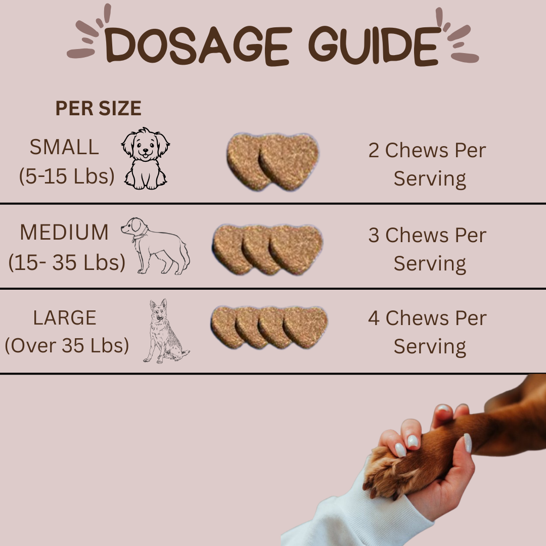 Dog Probiotic Soft Granules – Digestive Support